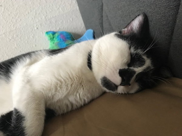 Clancy