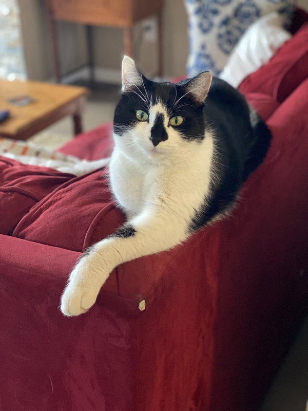 Astro