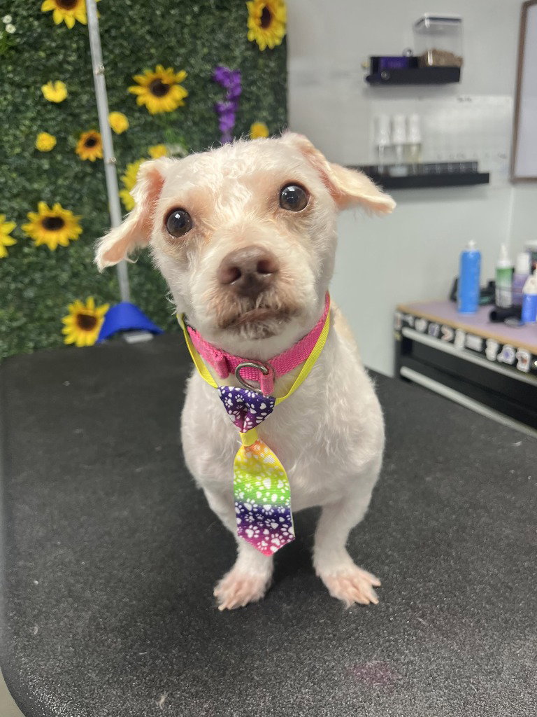 Winnie Image