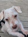 Winnie - Photo 2