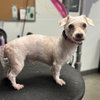 Winnie - Photo 4