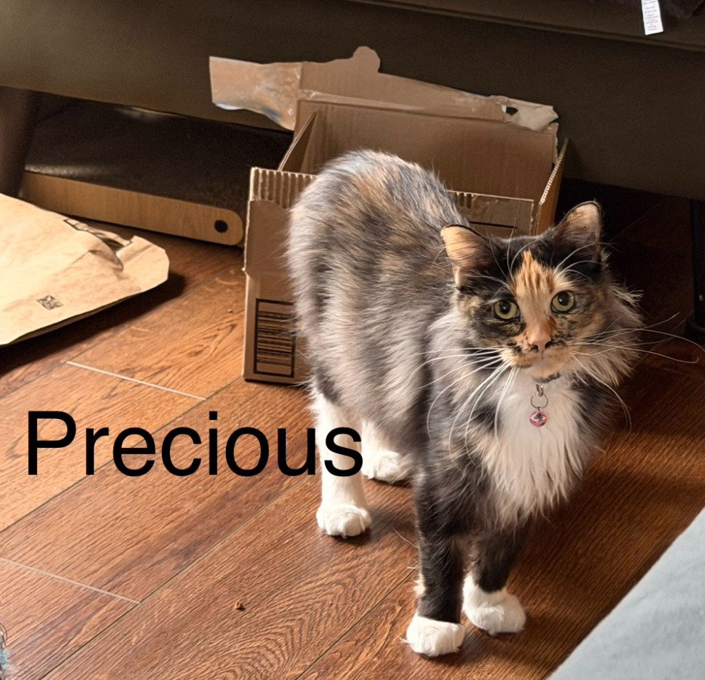 Little Girl / Precious Image