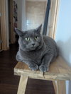 T-Storm - Photo 3