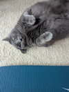 T-Storm - Photo 4