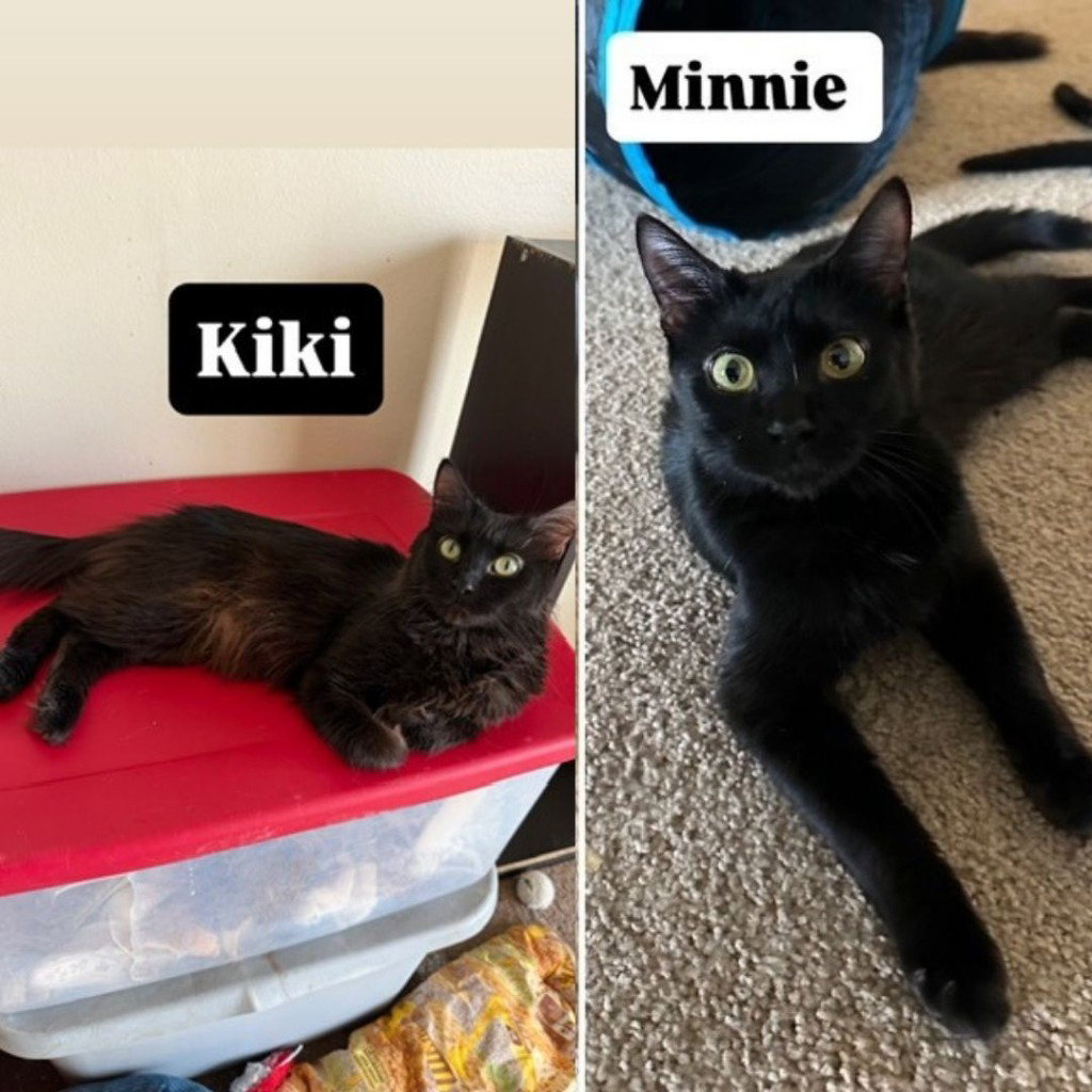 Kiki / Minnie