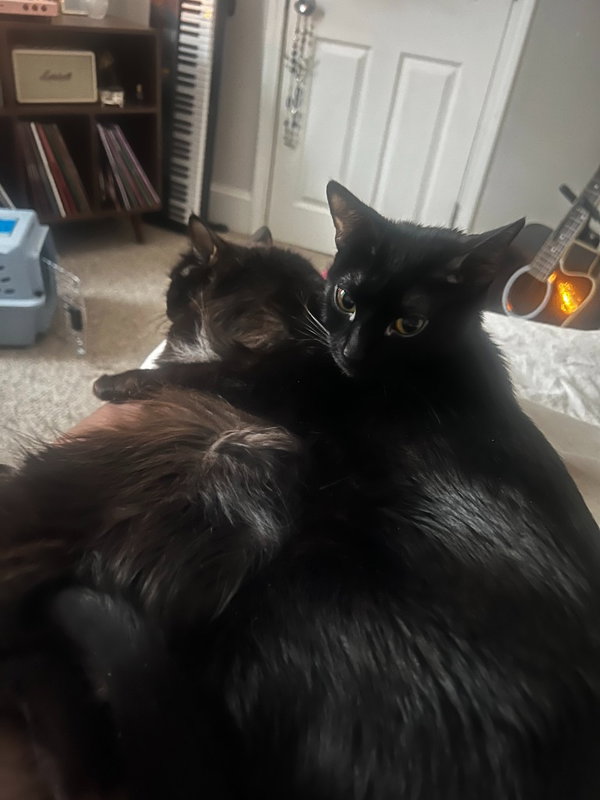 Kiki / Minnie