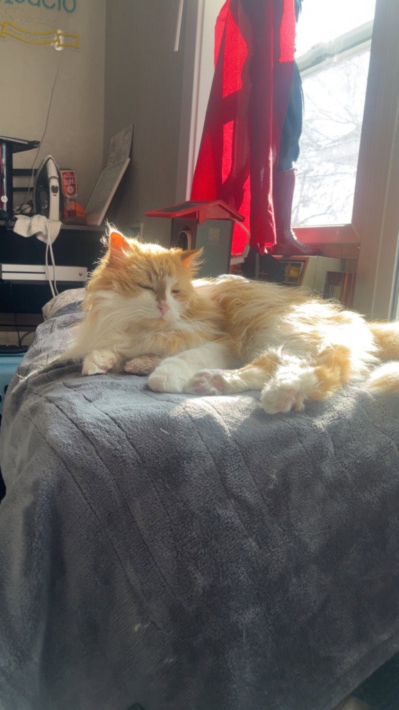 Marigold-No longer accepting apps