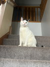 Winkie - Photo 3