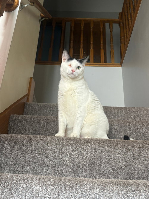 Photo 3 of Winkie
