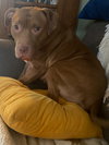 Tracey - Photo 3