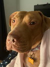 Tracey - Photo 4