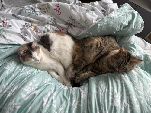 Ethel / Beverly