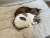 Ethel / Beverly - Photo 3