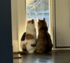 Ethel / Beverly - Photo 4