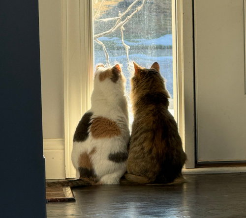 Photo 4 of Ethel / Beverly
