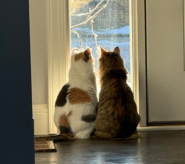 Ethel / Beverly