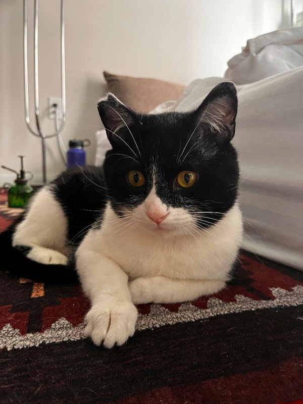 Stanley - No Longer Accepting Applications