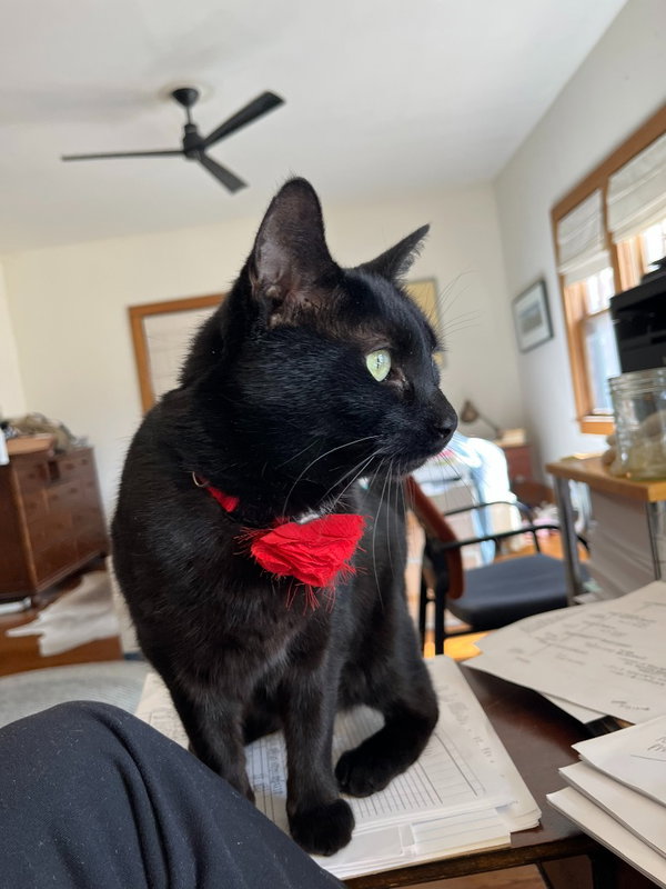 Pip