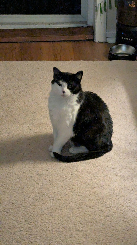 Luna
