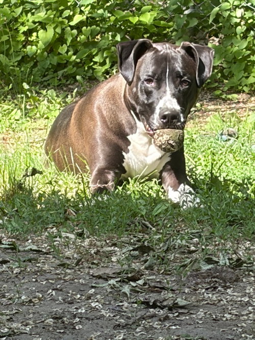 Mookie photo 2