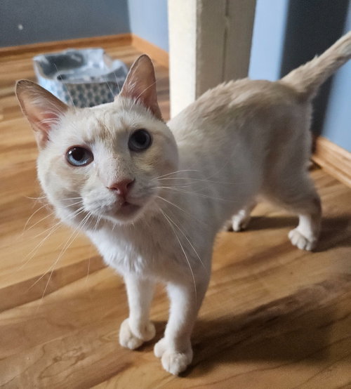Tucker-Pending Adoption photo 2