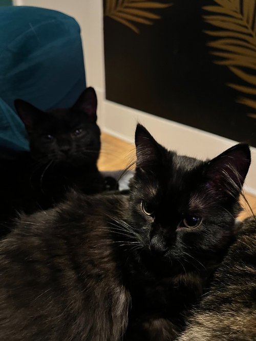 Meredith / Penny photo 4