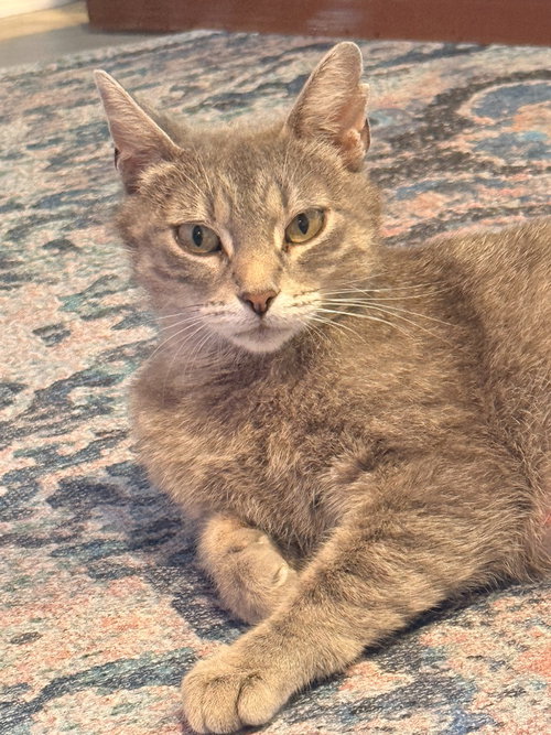 Mabel photo 2