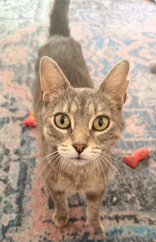 Mabel photo 3