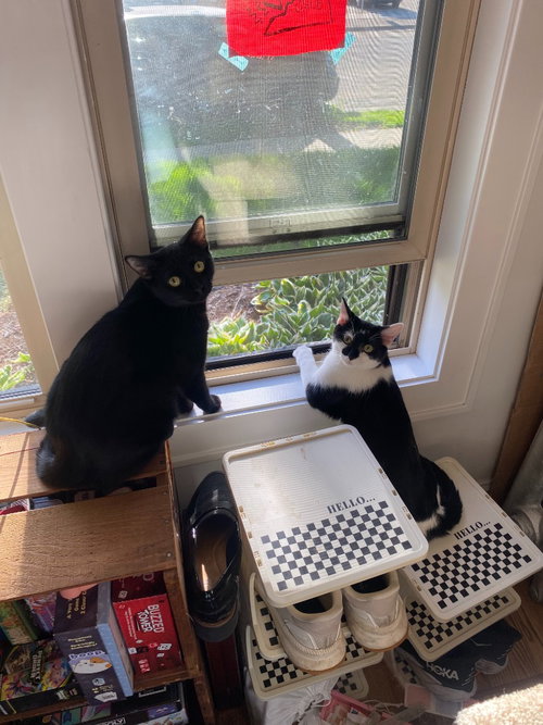 Rumi / Mumu photo 4