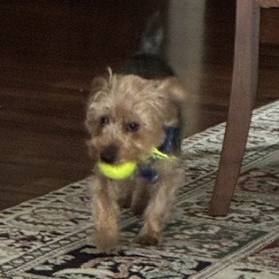 Cooper photo 3