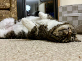 Gigi photo 2