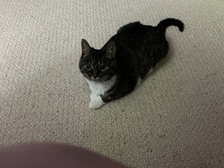 Gigi photo 3