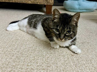 Gigi photo 4