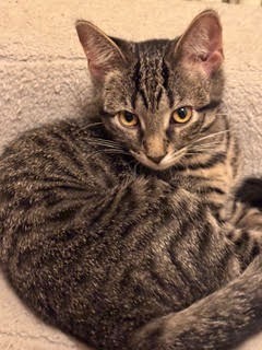 Molly / Polly photo 4