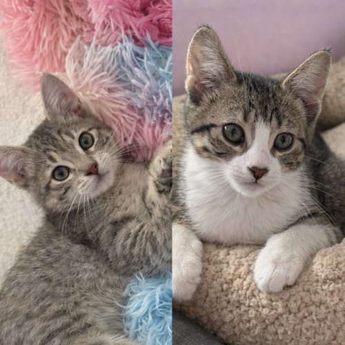 Joyce / Minnie