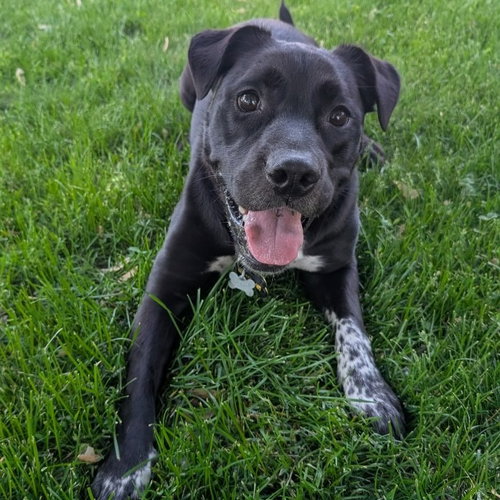 Artie Aka Artist photo 2