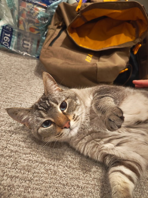 Pixel photo 2