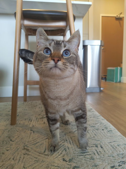 Pixel photo 4