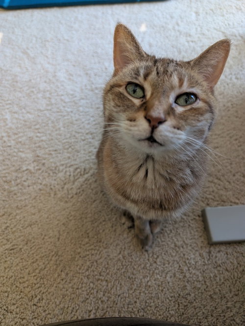 Little One photo 2