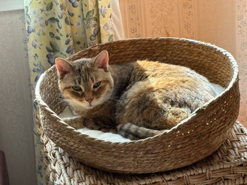 Little One photo 4