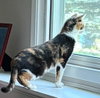 Tina