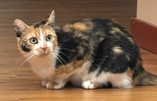 Photo 2 of Tina
