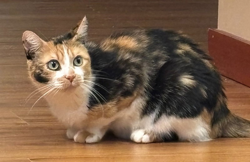 Tina, photo 2