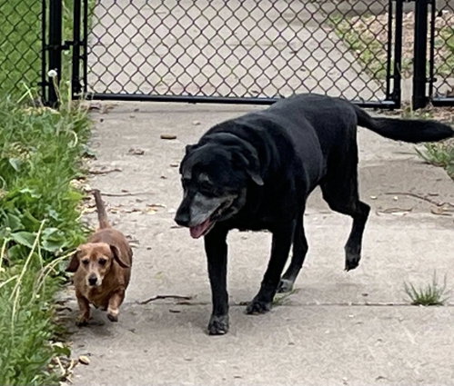 Photo 2 of Chase / Maci