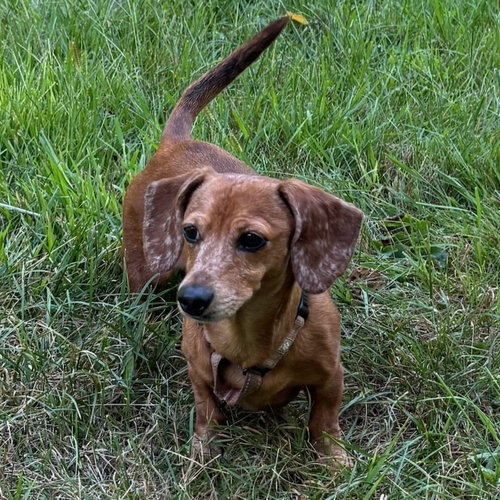 Photo 4 of Chase / Maci