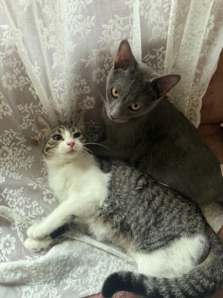 Maxie / Mila