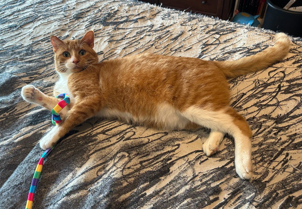 Gus