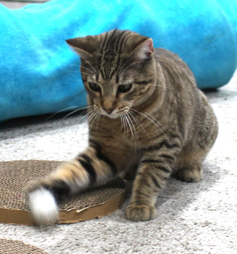 Roald, photo 3