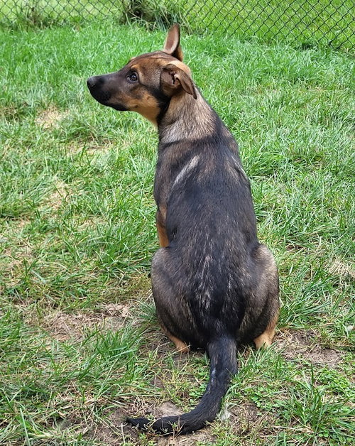 Photo 2 of Ryker