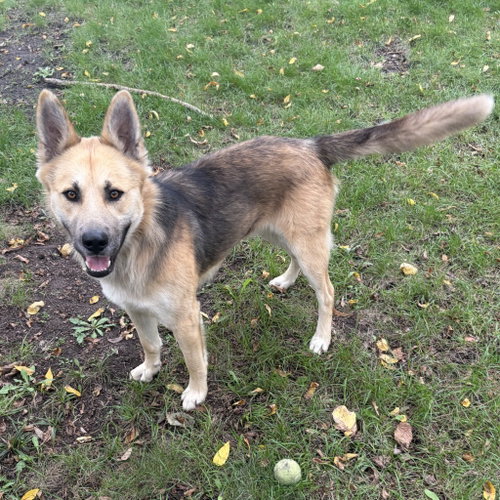 Photo 2 of Chase